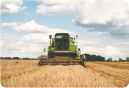 Imagem ilustrativa mostrando caminhão de colheita